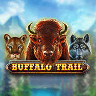 Buffalo Trail